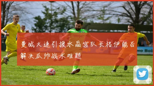 曼城火速引援水晶宫队长格伊能否解决瓜帅战术难题