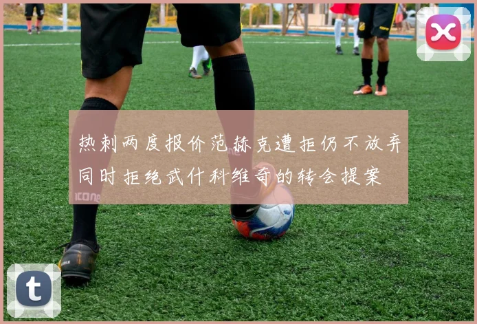 热刺两度报价范赫克遭拒仍不放弃同时拒绝武什科维奇的转会提案